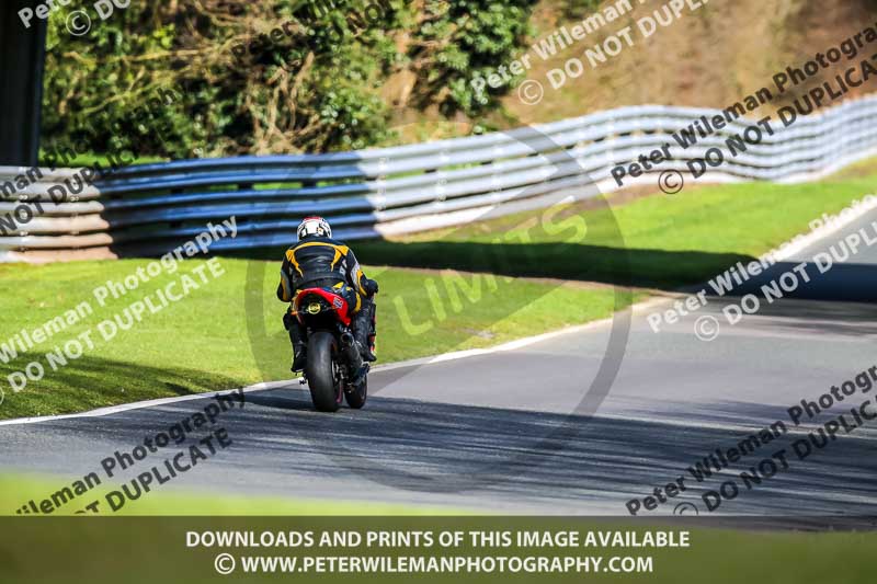 Oulton Park 20th March 2020;PJ Motorsport Photography 2020;anglesey;brands hatch;cadwell park;croft;donington park;enduro digital images;event digital images;eventdigitalimages;mallory;no limits;oulton park;peter wileman photography;racing digital images;silverstone;snetterton;trackday digital images;trackday photos;vmcc banbury run;welsh 2 day enduro